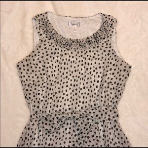 Dress Barn Polka Dot Ruffle Dress